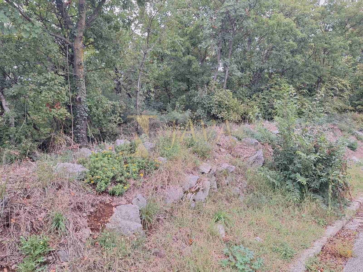 KRALJEVICA