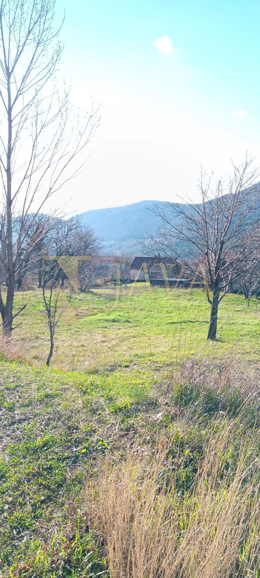 BRIBIR
