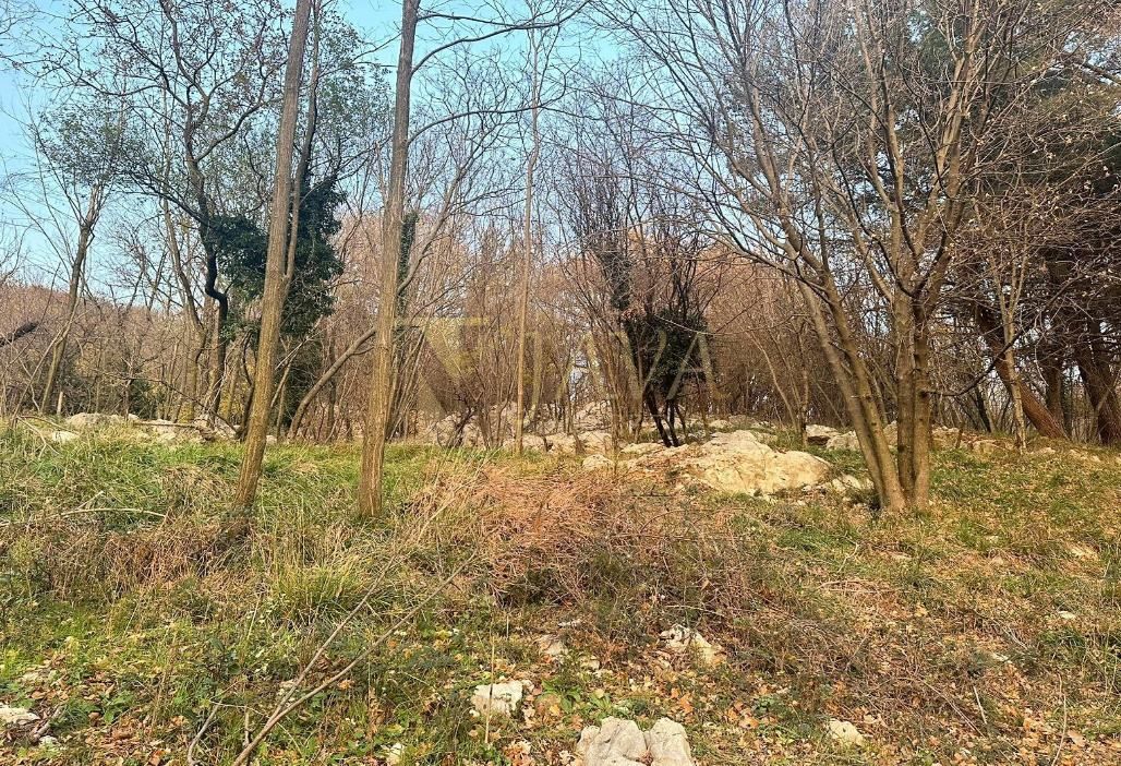 SVILNO