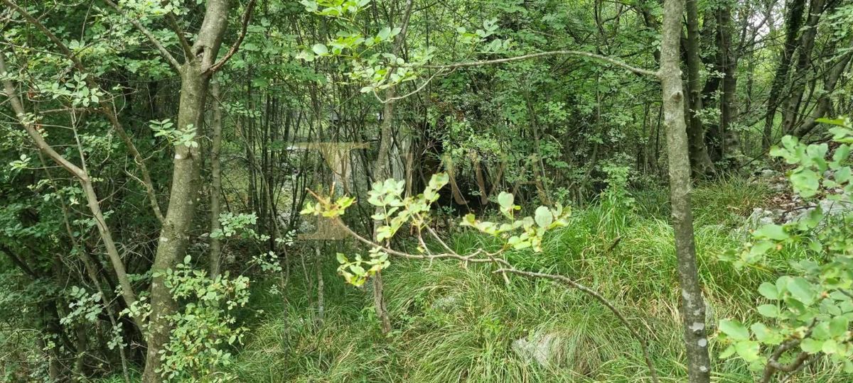 SVILNO