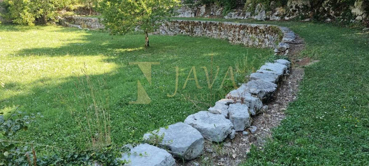 JUŠIĆI