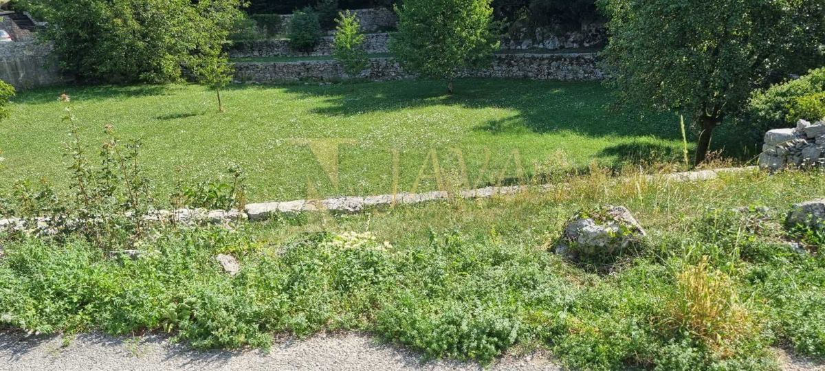 JUŠIĆI