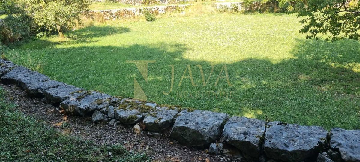 JUŠIĆI