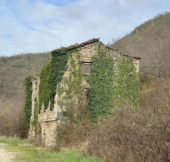 BUZET