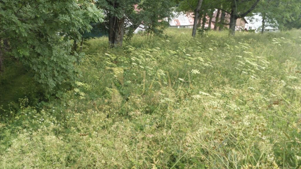 BEGOVO RAZDOLJE