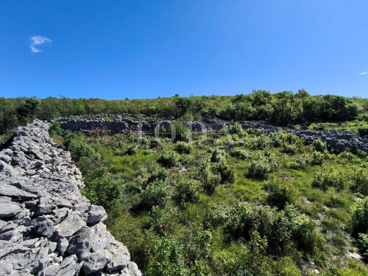 ROŽMANIĆI