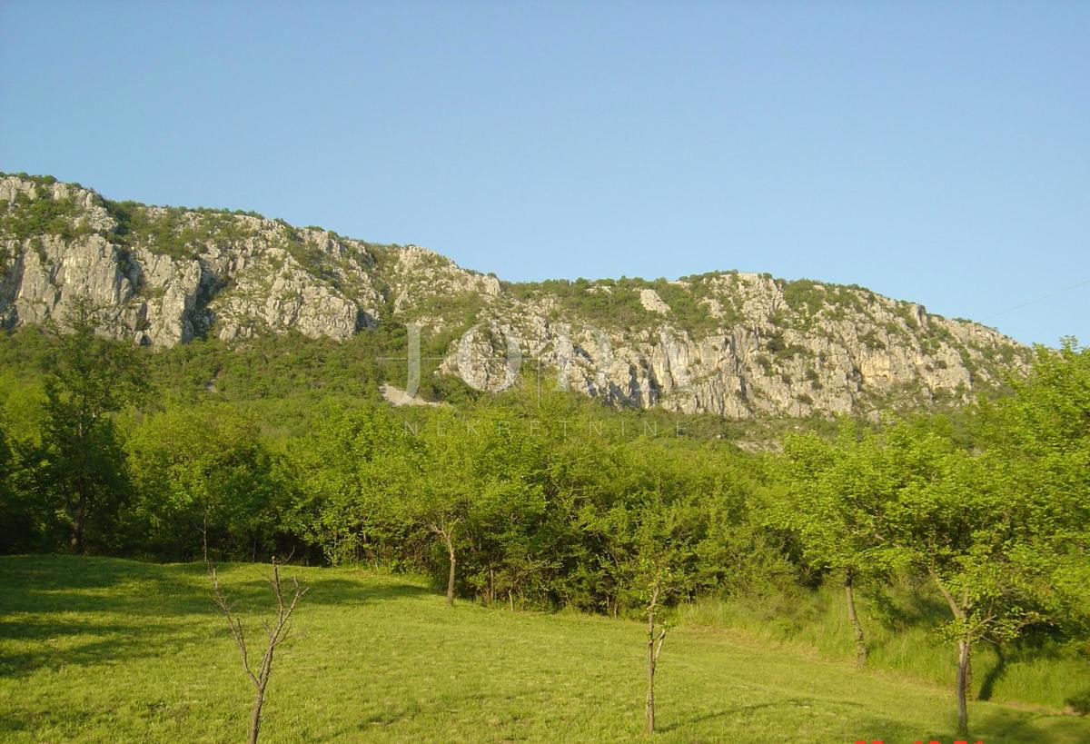 BRIBIR
