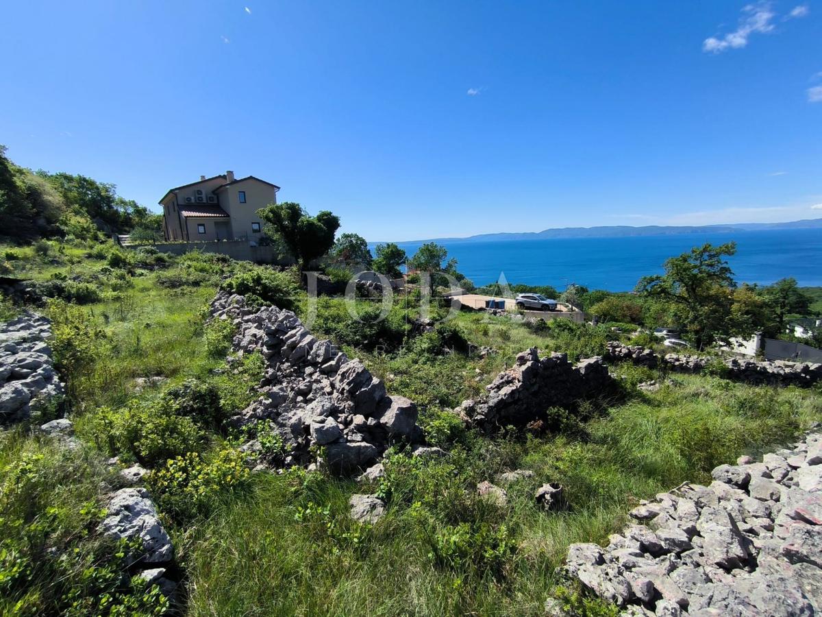 ROŽMANIĆI