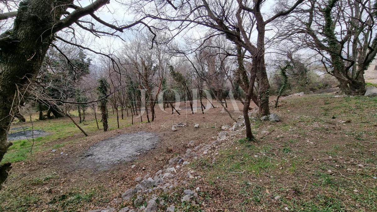 GRIŽANE