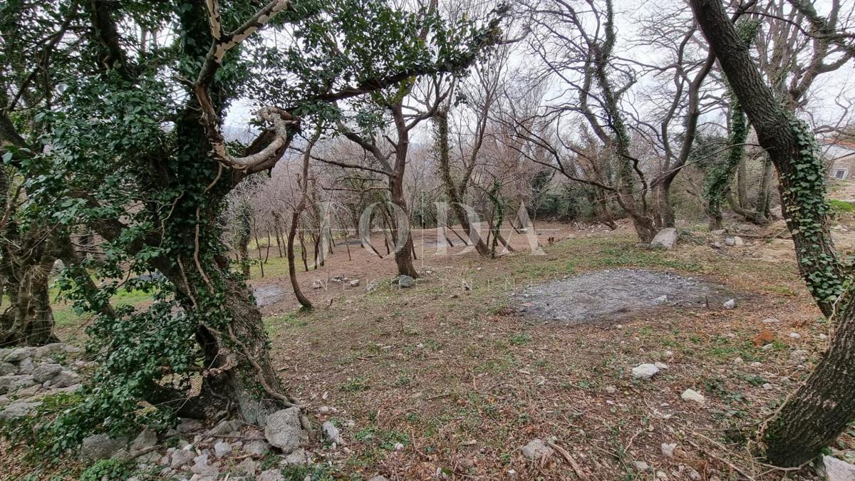 GRIŽANE