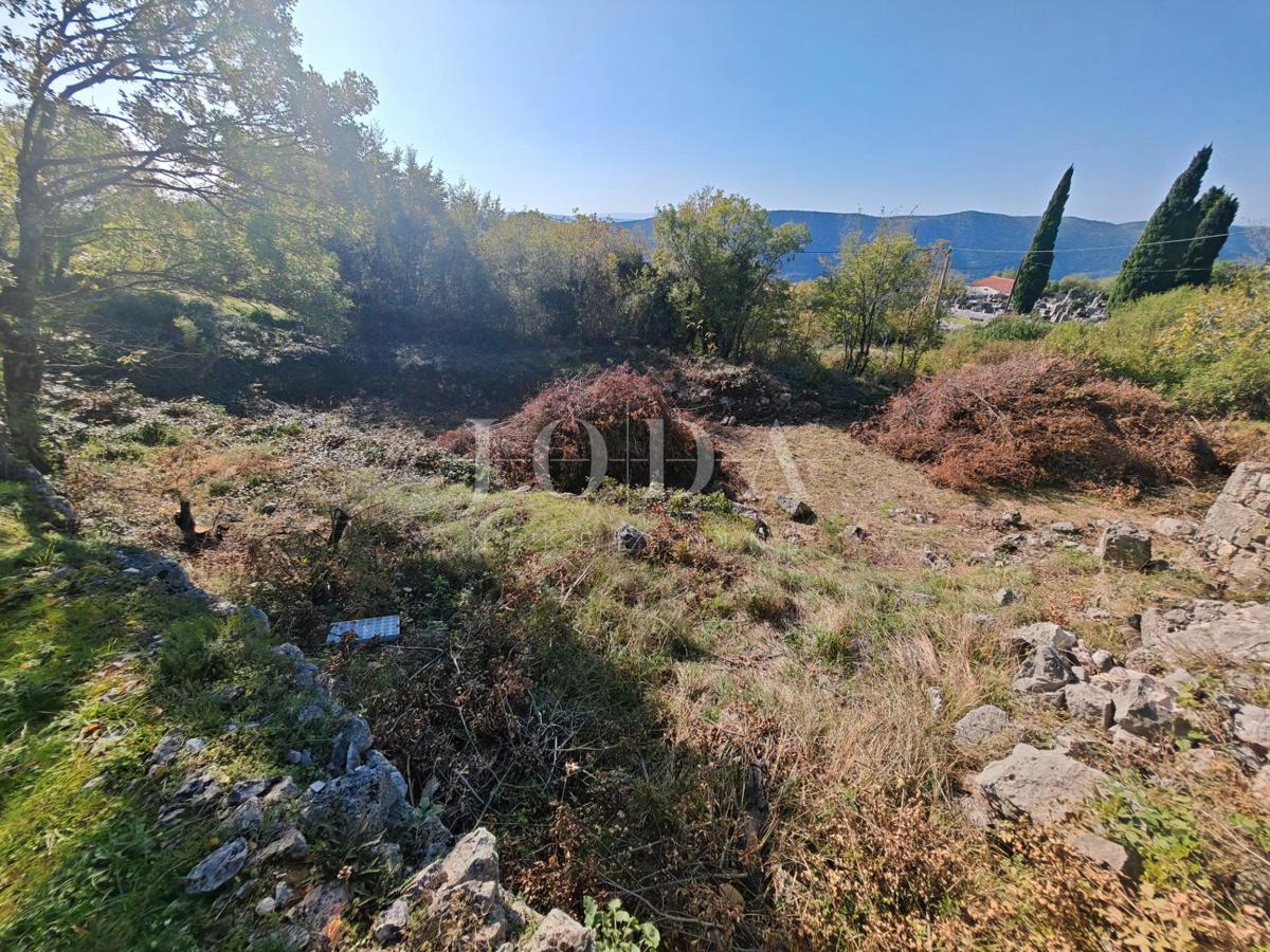 GRIŽANE