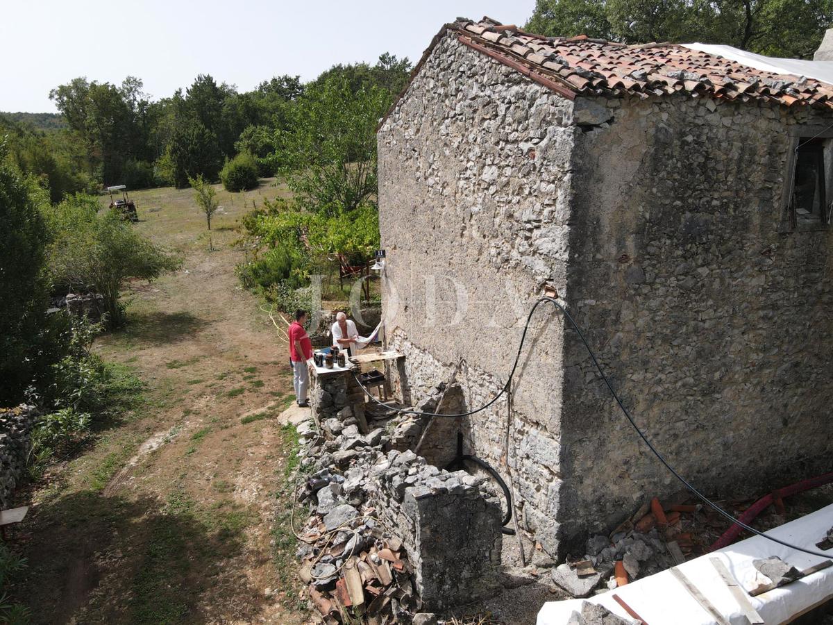 image 14