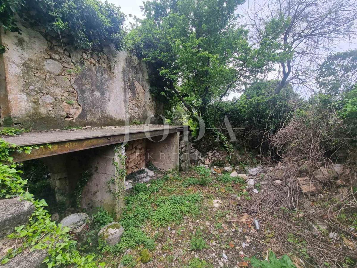 BRIBIR