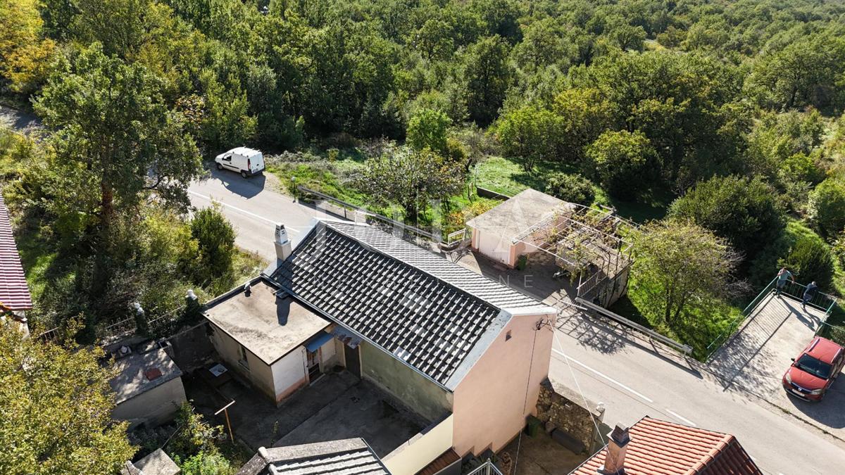 GRIŽANE
