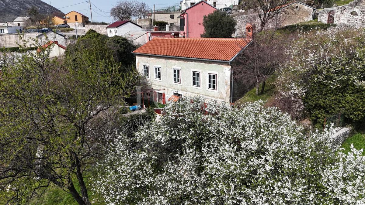 BRIBIR
