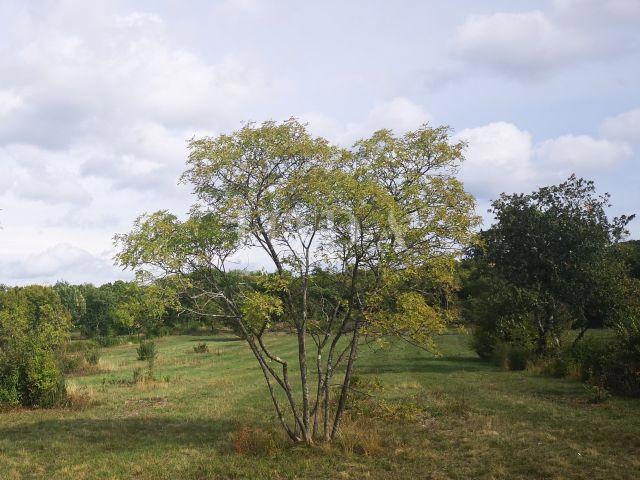 Slika nekretnine