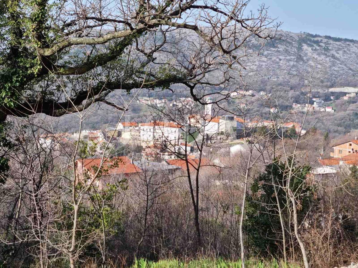 BRIBIR