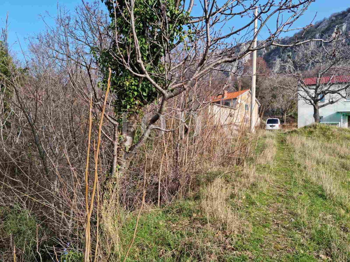 BRIBIR