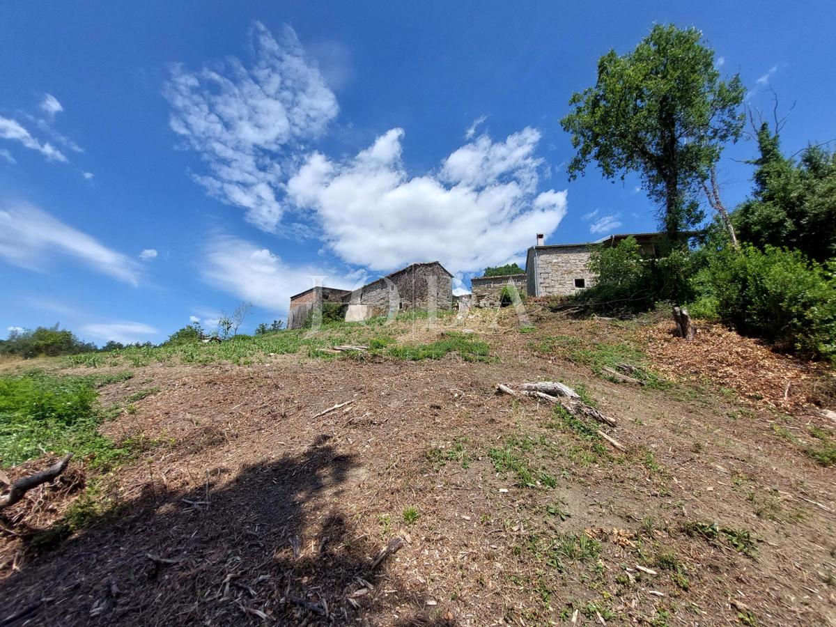 BUZET