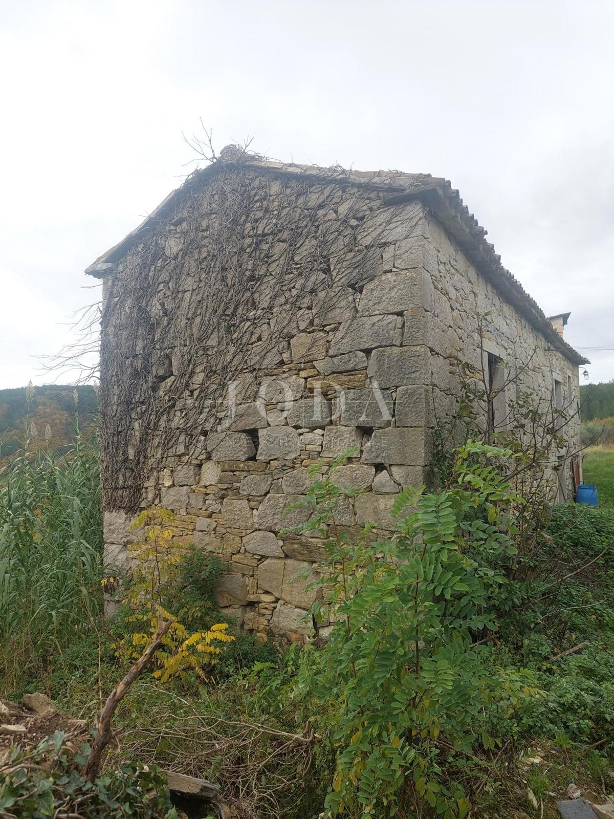 BUZET