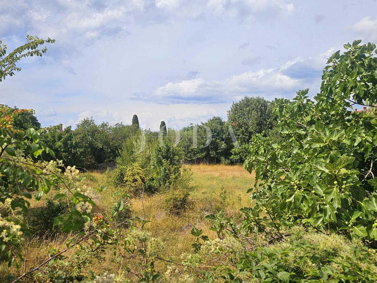 MALINSKA