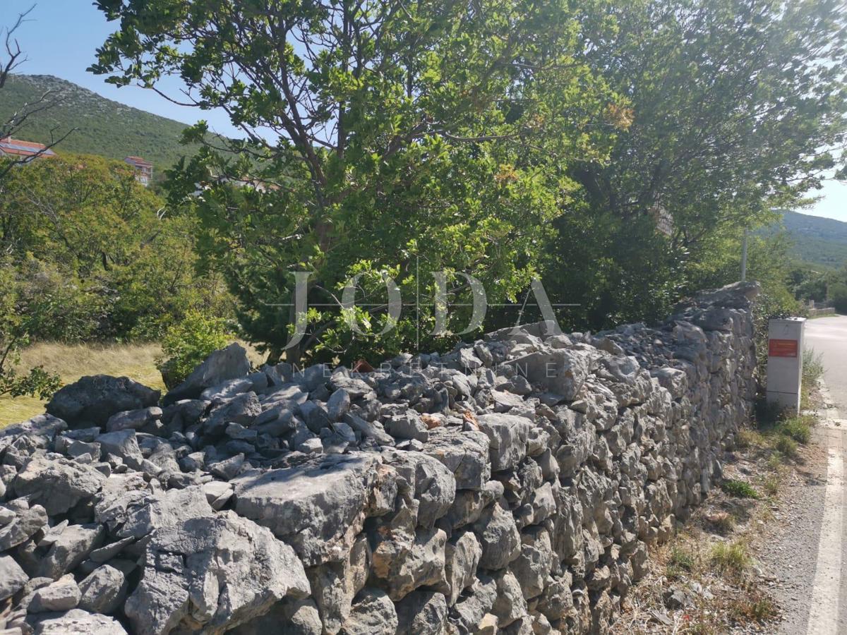 SMOKVICA KRMPOTSKA