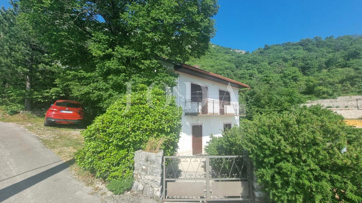GRIŽANE