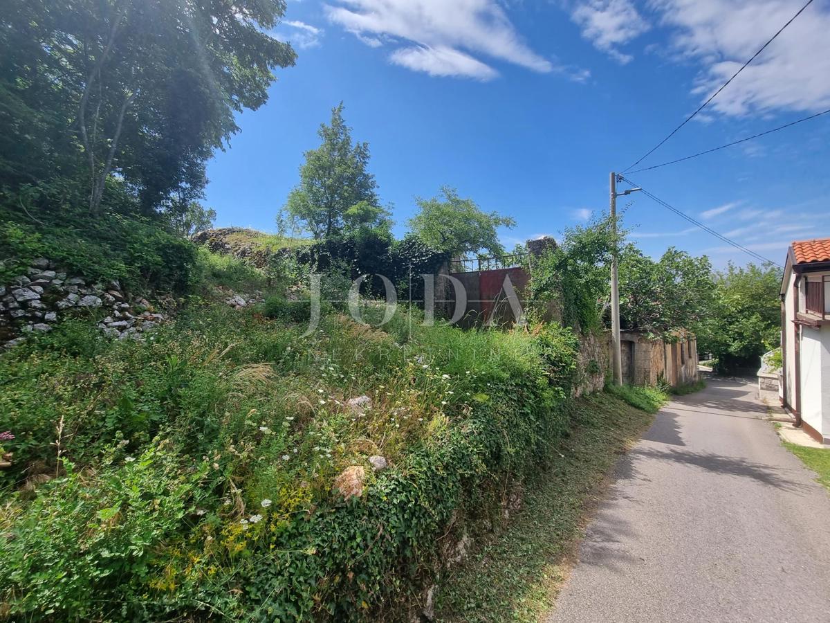 GRIŽANE