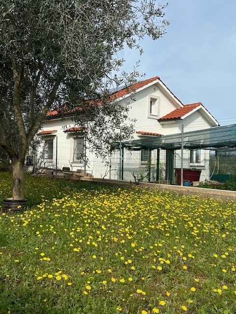 PORAT