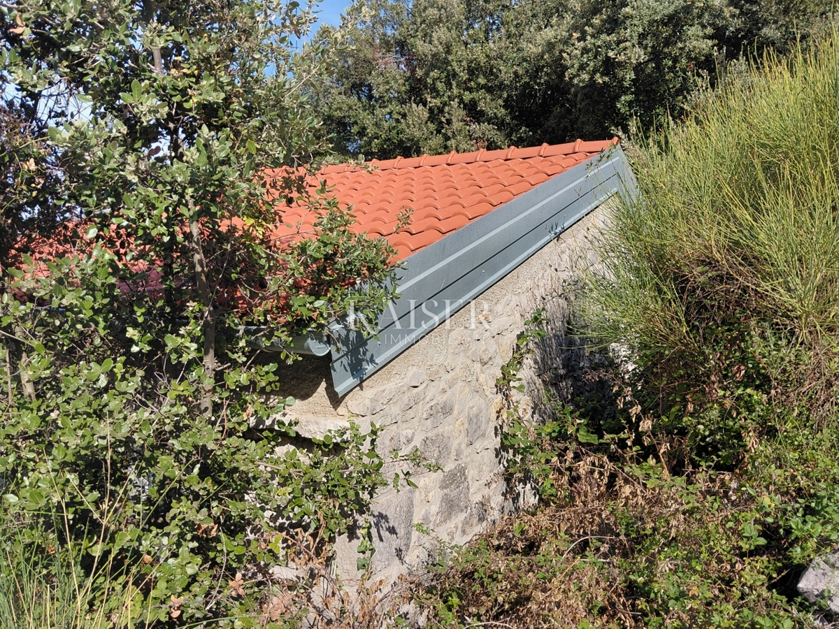 image 14
