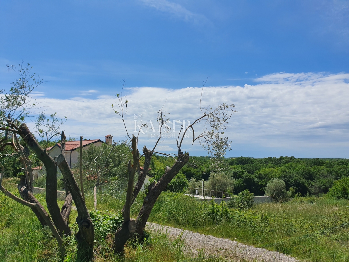 SVETI LOVREČ PAZENATIČKI