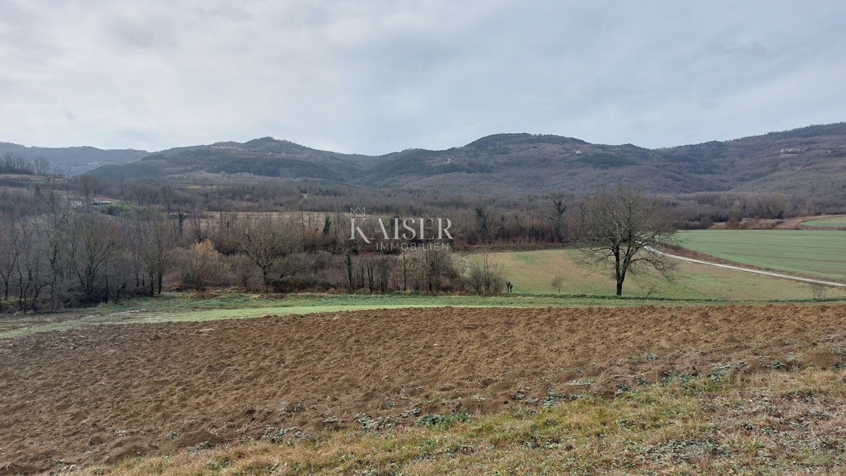 MOTOVUN
