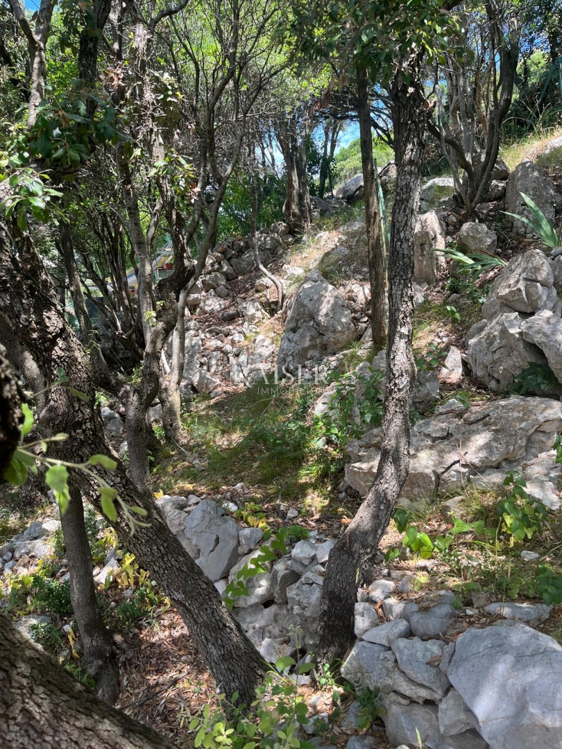 image 28