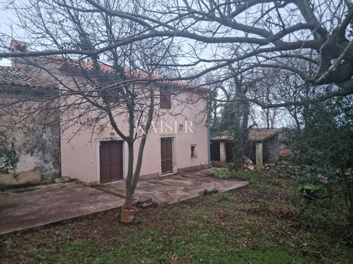 REBIĆI