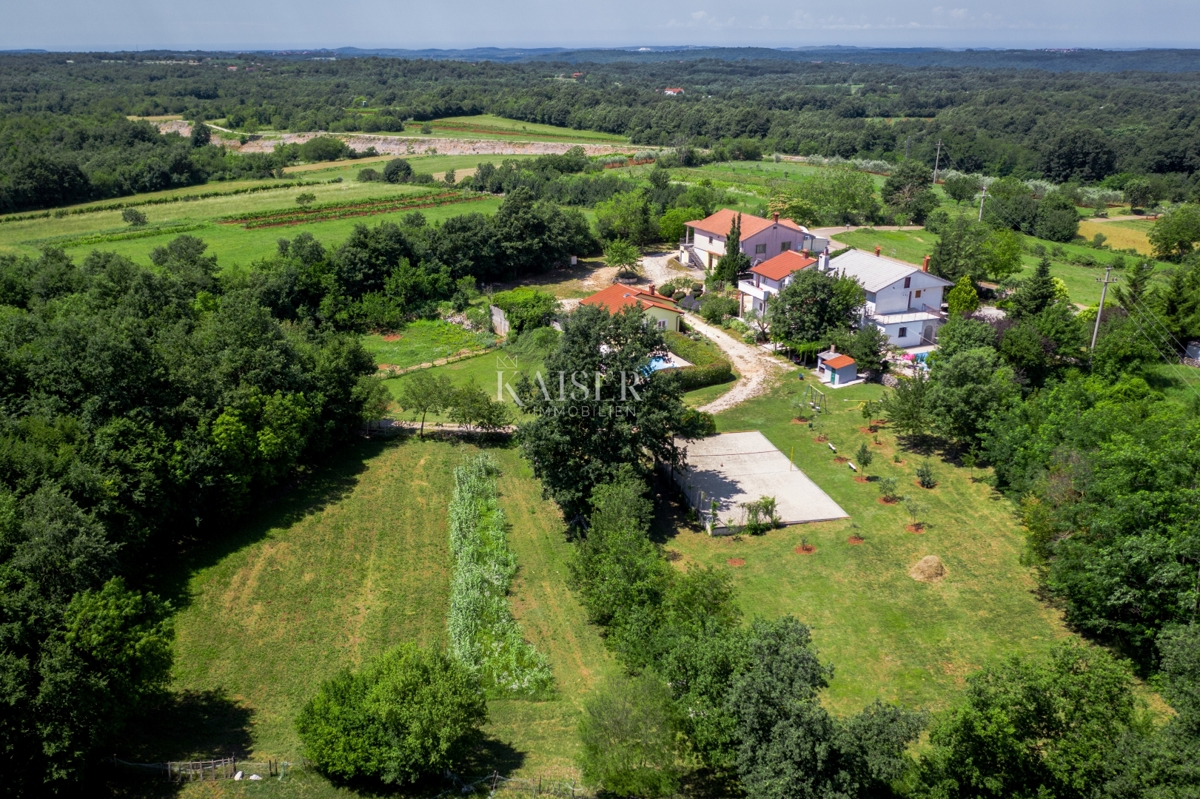 KRIŽANCI