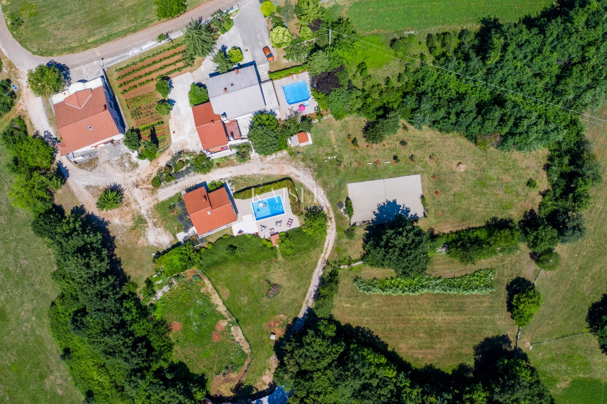 KRIŽANCI