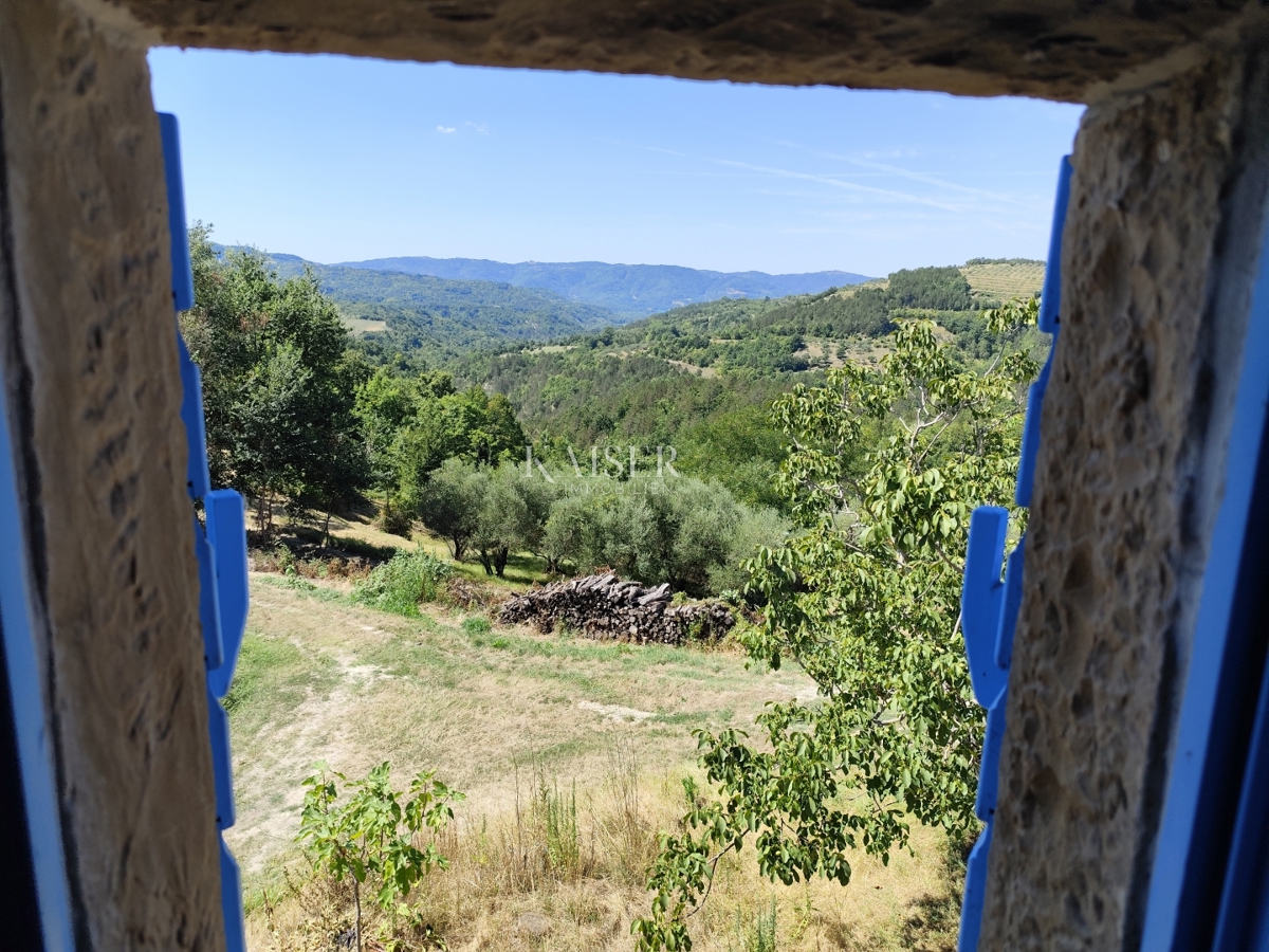 BUZET