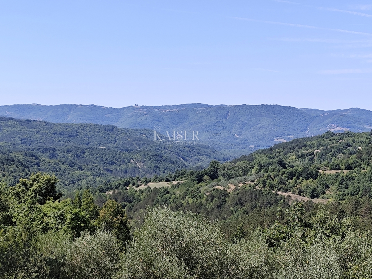 BUZET