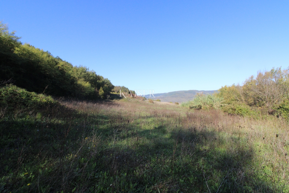 MOTOVUN