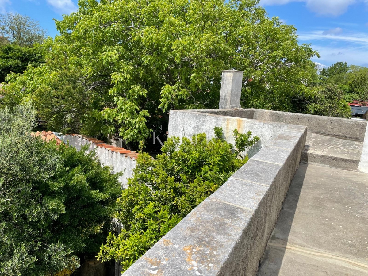 image 14