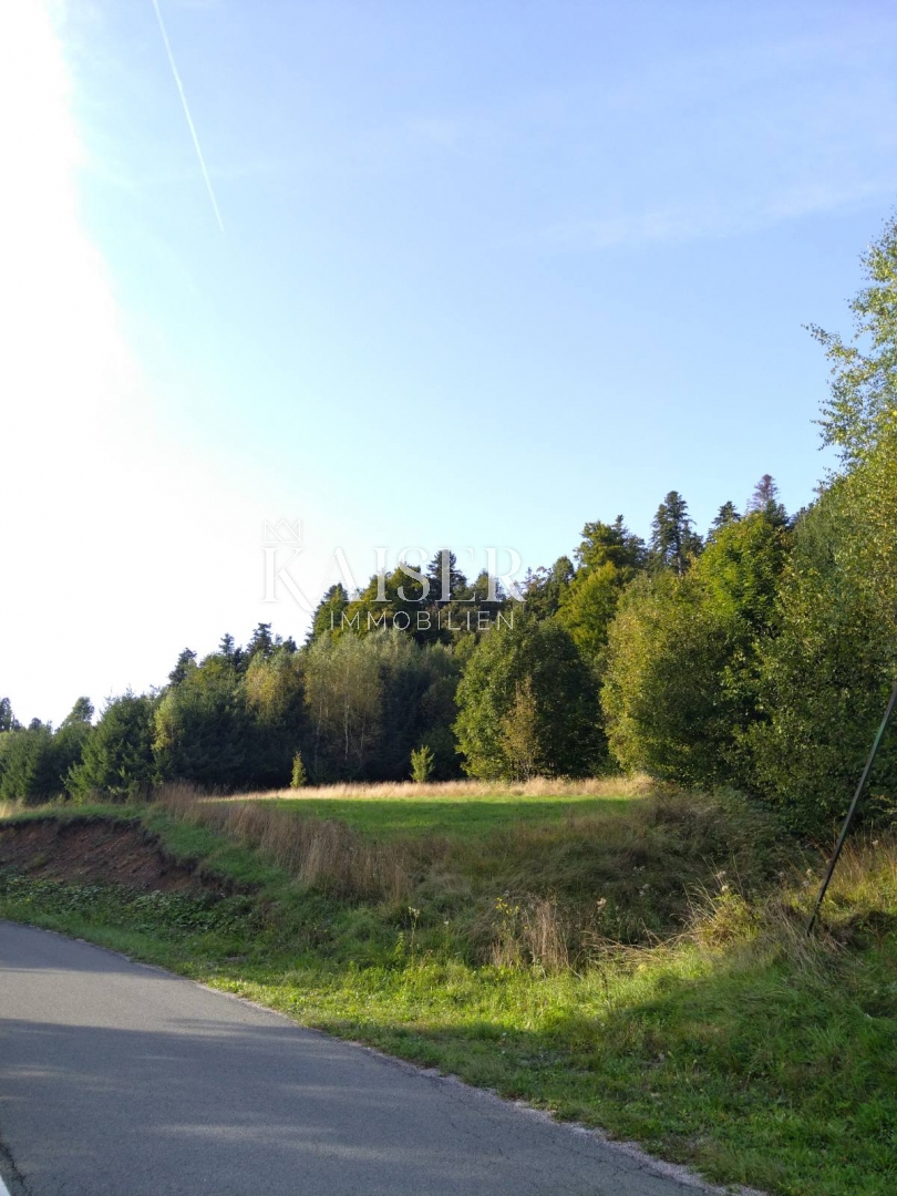 FUŽINE