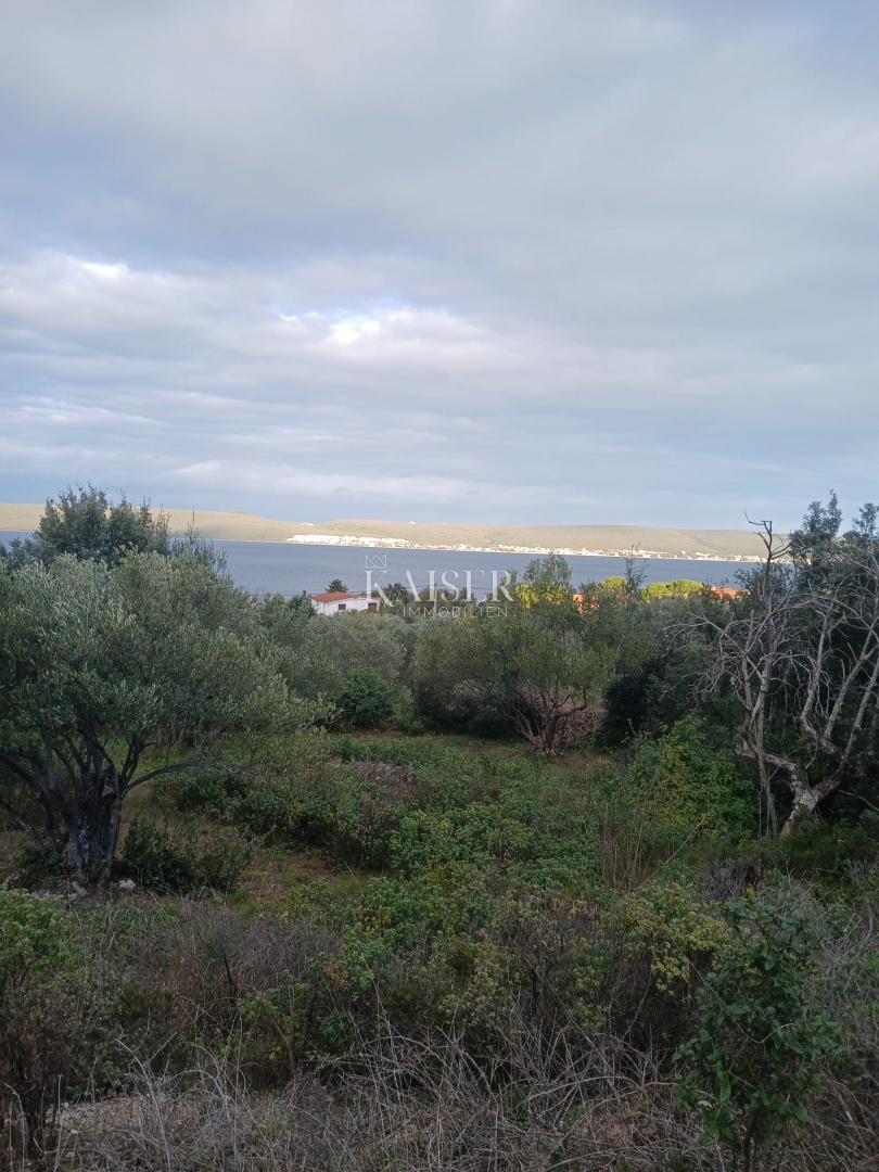 Участок PAŠMAN, 48.000 €