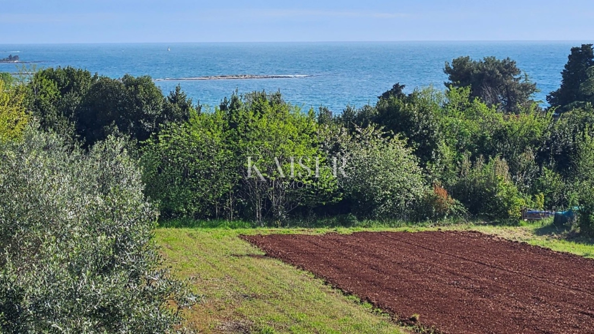 Terreno UMAG, 1.944.950 €