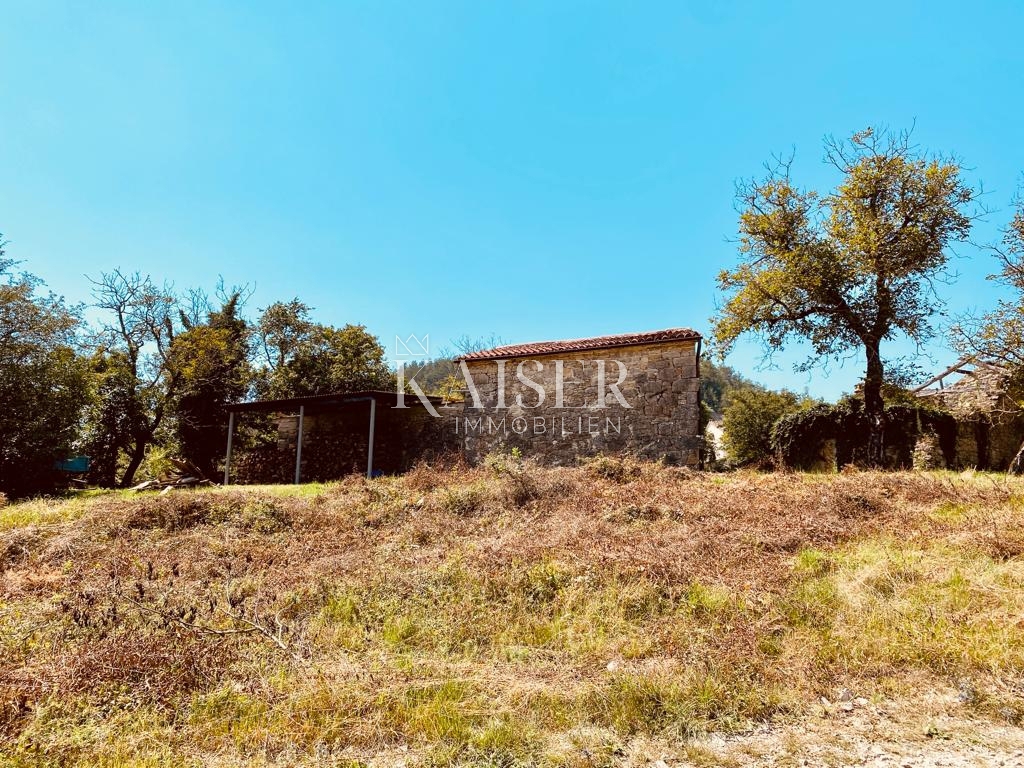 KOTLI