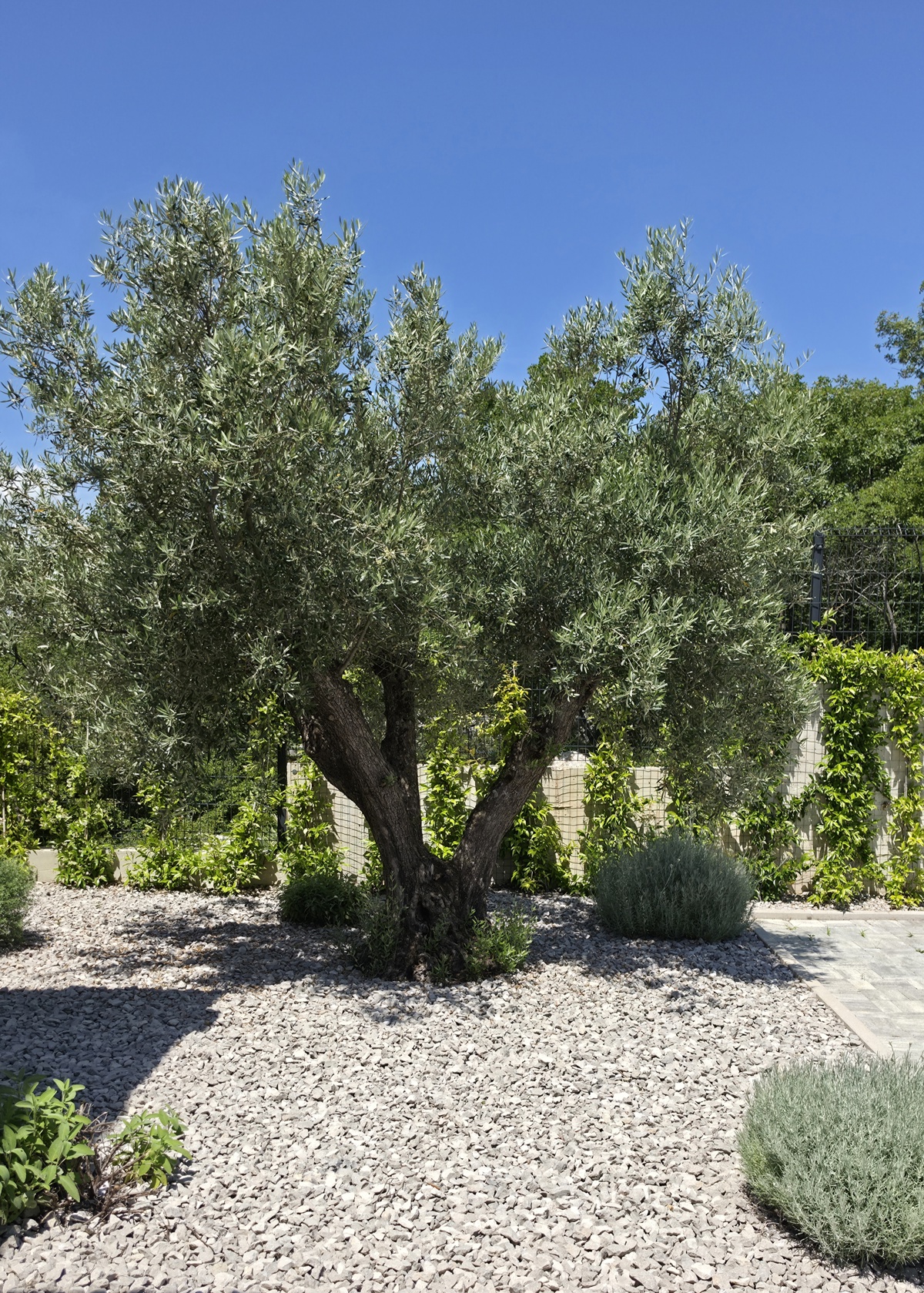 image 14