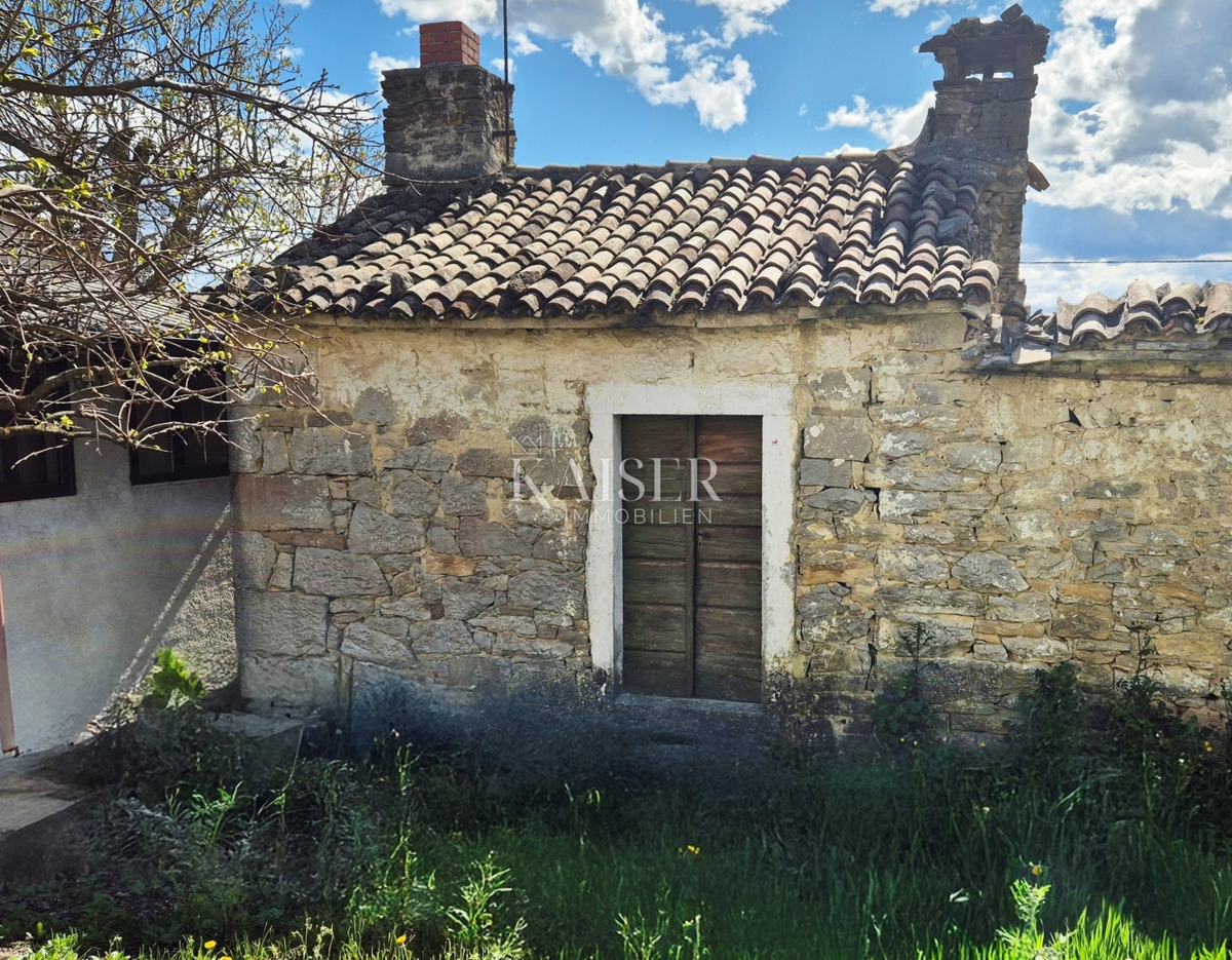 BUZET