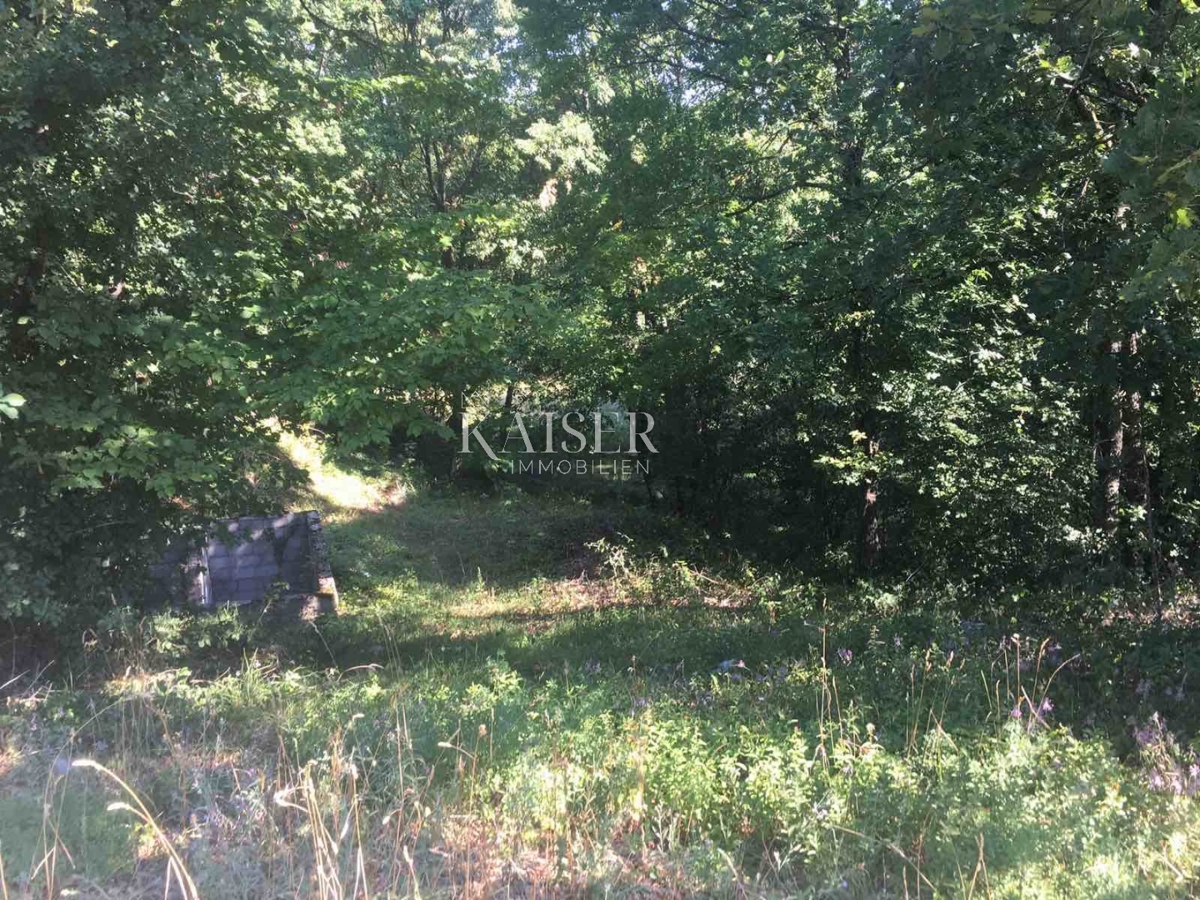 KASTAV