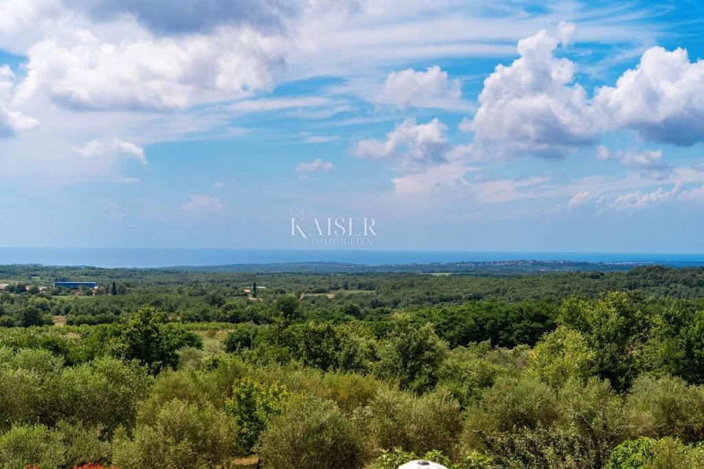 VIŠNJAN