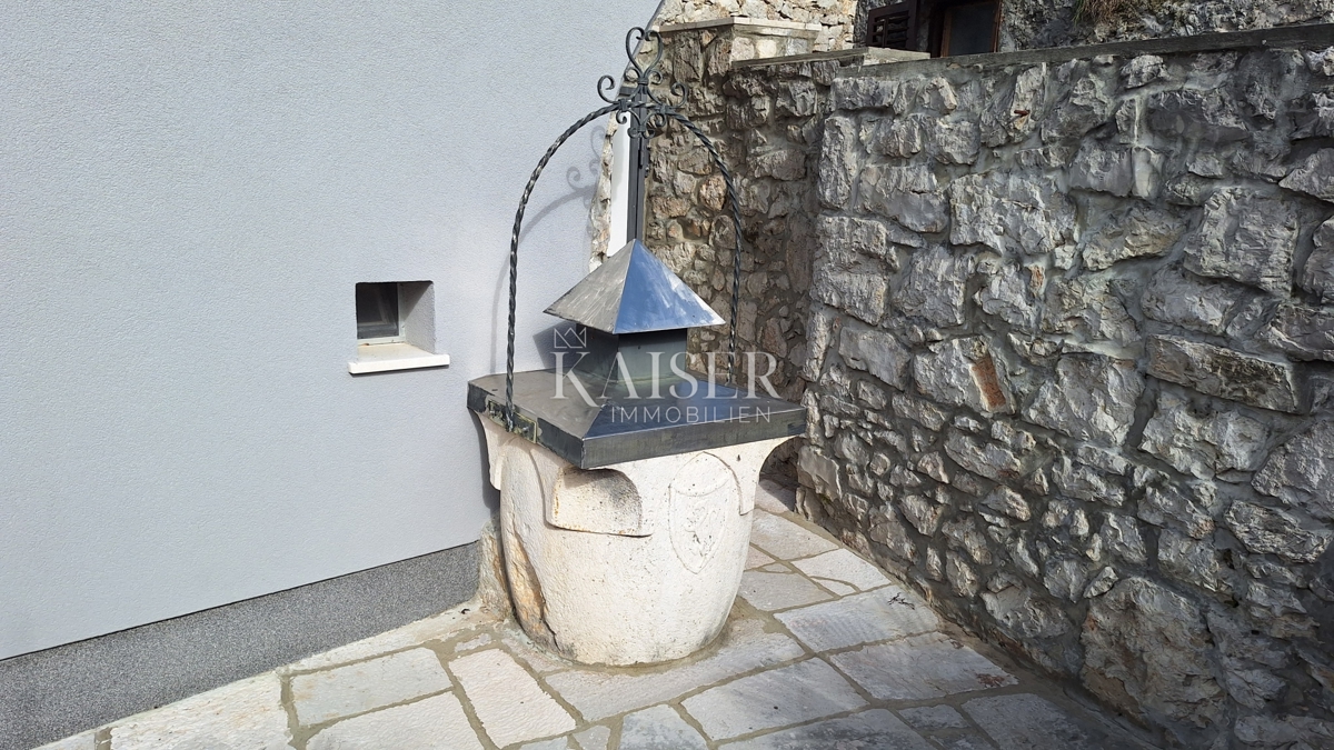image 23