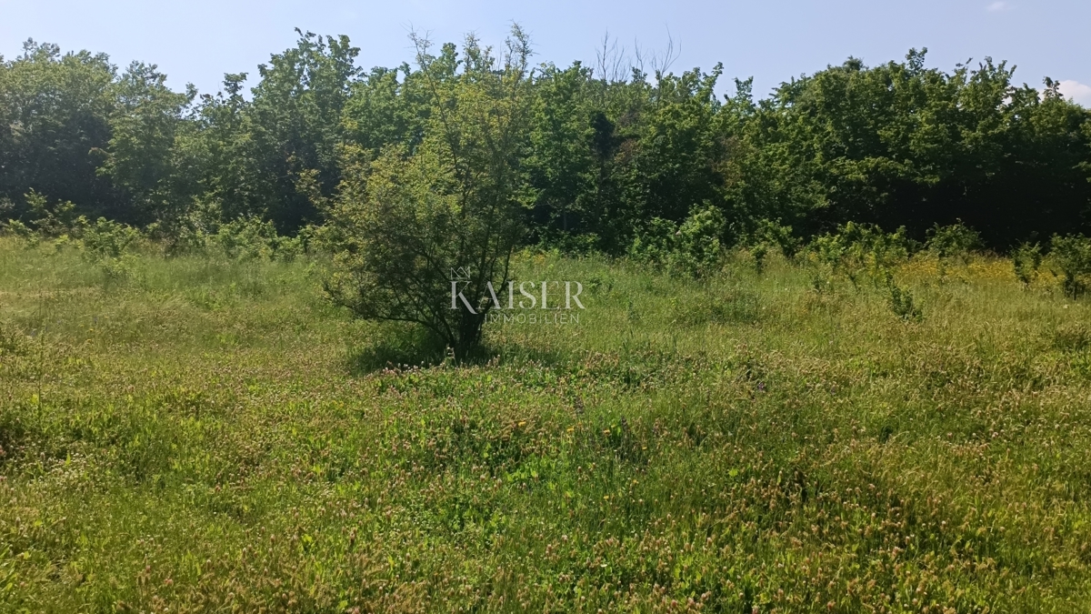 BARBAN